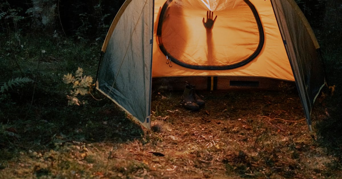 Historical Perspectives on Communication in Relationships