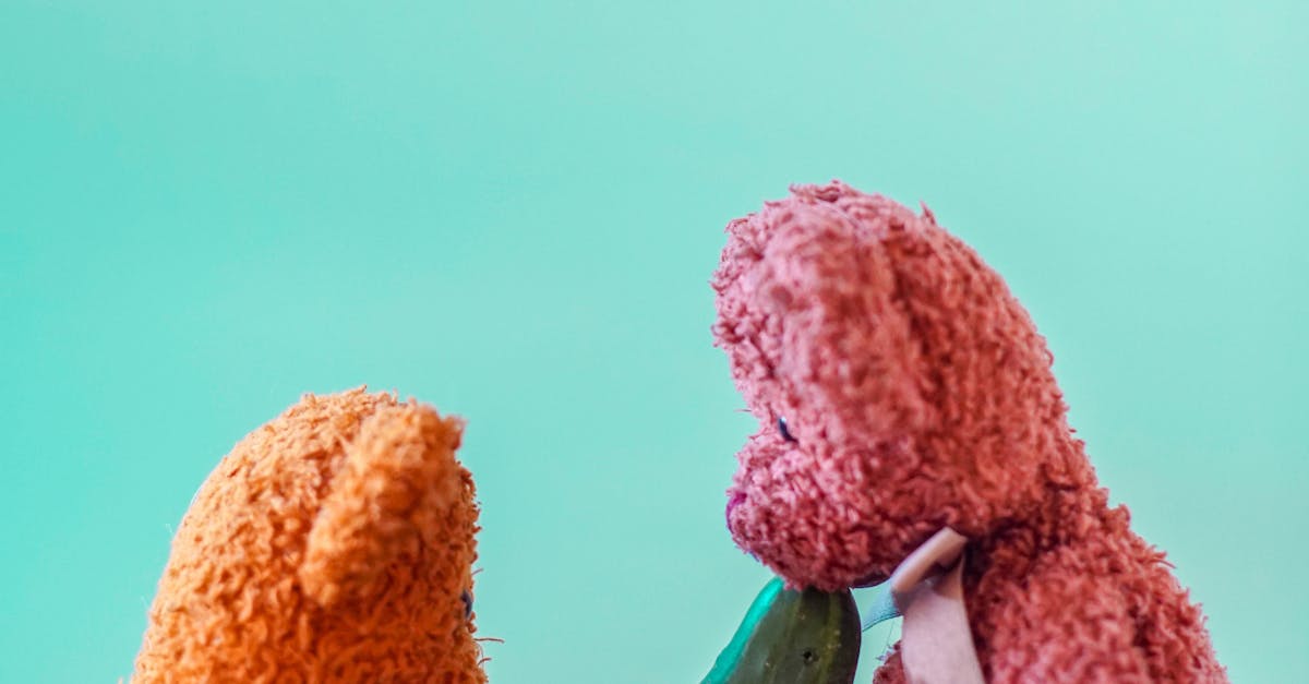 What to Discuss Before Engaging in Intimacy