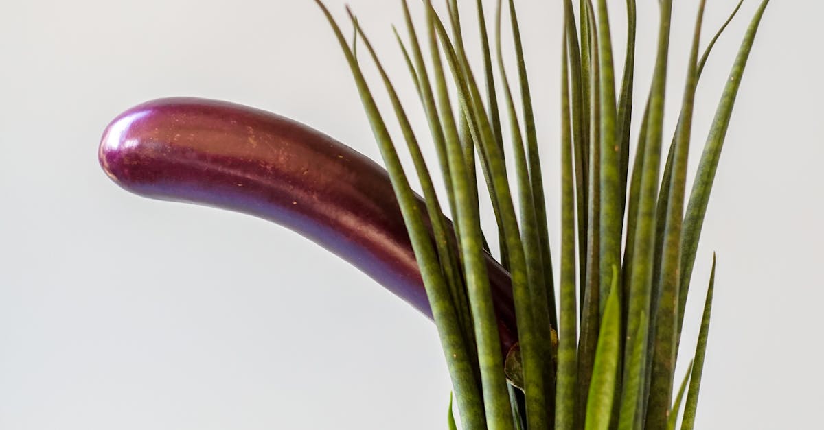 What to Expect During a Sexual Health Check-up